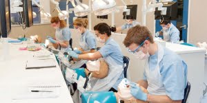 Study dentistry in Russia